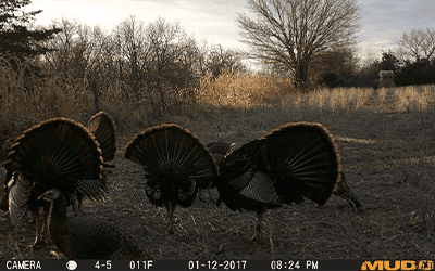 Bale Blinds 101 | Turkey Hunting With Bale Blinds