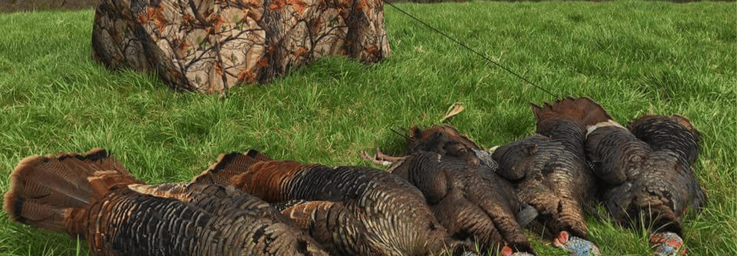 Choosing The Best Turkey Hunting Ground Blind