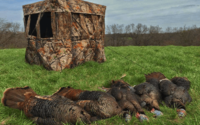 Choosing The Best Turkey Hunting Ground Blind