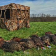 turkey hunting ground blinds