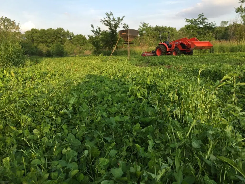 Planning And Hunting Food Plots In The South