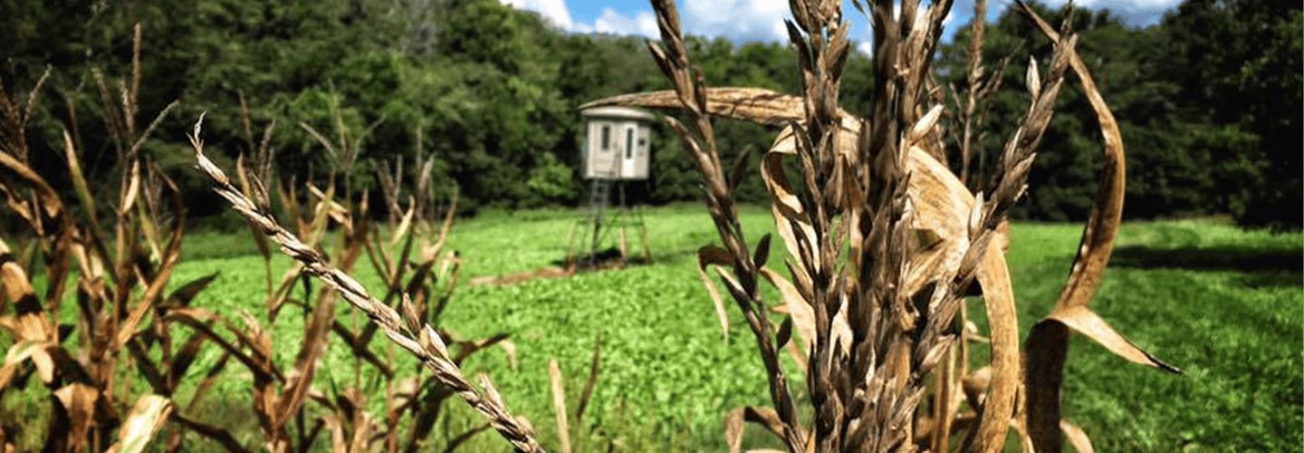 Planning And Hunting Food Plots In The South