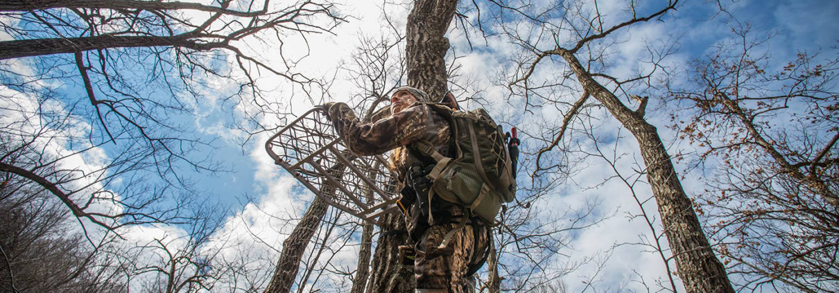 tree stands