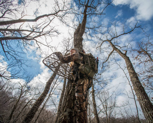 tree stands