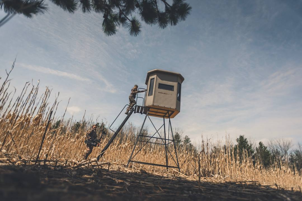 4 of the Best Fall Food Plot Setups Muddy Outdoors