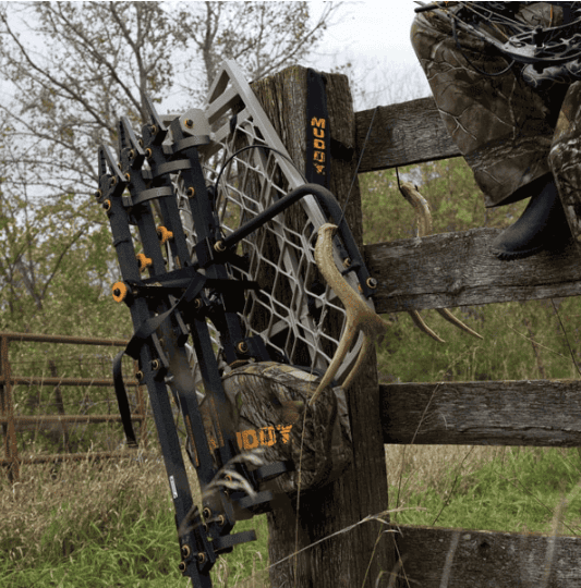 How To Locate The Best Acorn Crop For Hunting Mature Whitetails