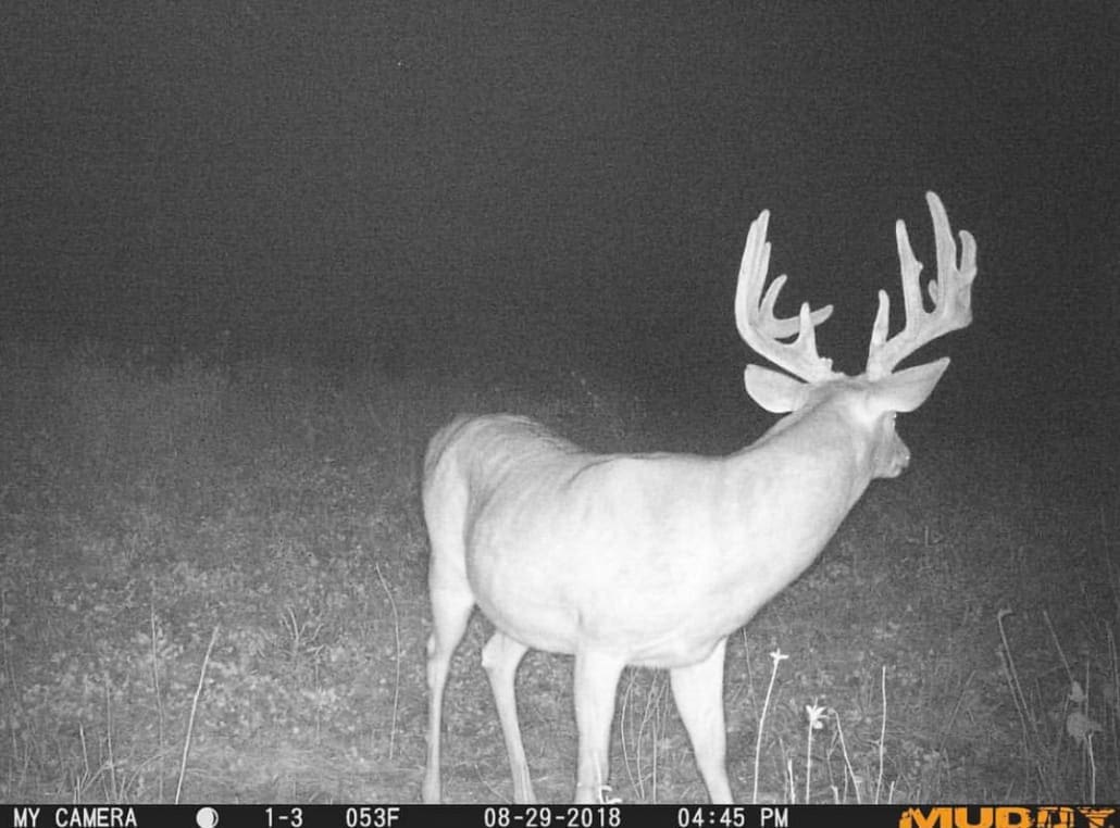 Muddy’s Trail Camera Schedule | Setups, Tips, Settings, And More