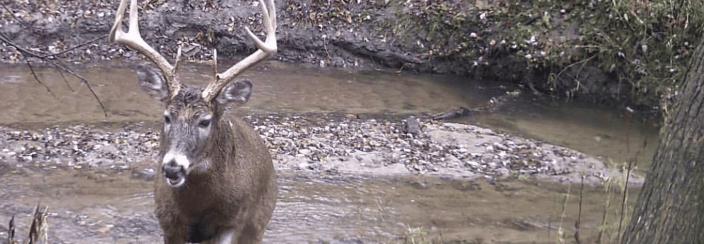 Muddy’s Trail Camera Schedule Setups, Tips, Settings, and More
