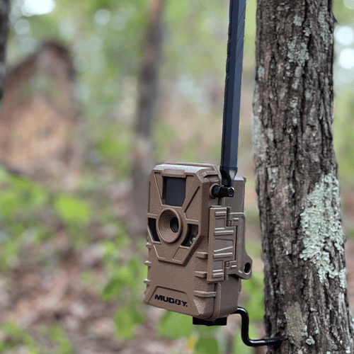Keep Scrape Cameras Going For Late Season Success
