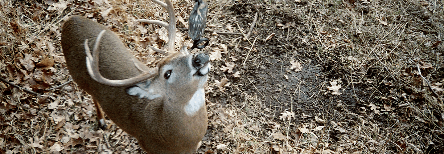 Keep Scrape Cameras Going For Late Season Success