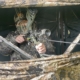 Tips And Tricks For Bowhunting In A Ground Blind