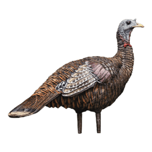 LCD Lookout Hen