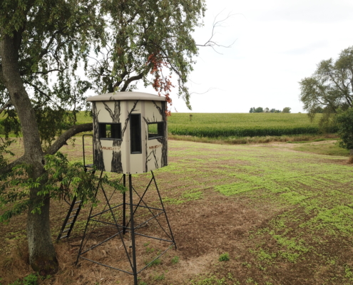 5 Reasons To Hunt From A Muddy Box Blind