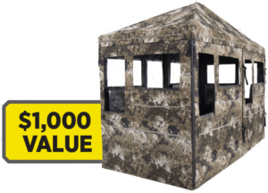 Prize 3.png