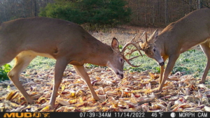 Muddy Morph Cellular Trail Camera