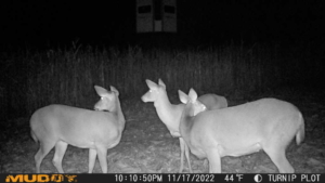 Muddy Morph Cellular Trail Camera