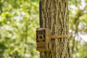 Muddy Morph Cellular Trail Camera