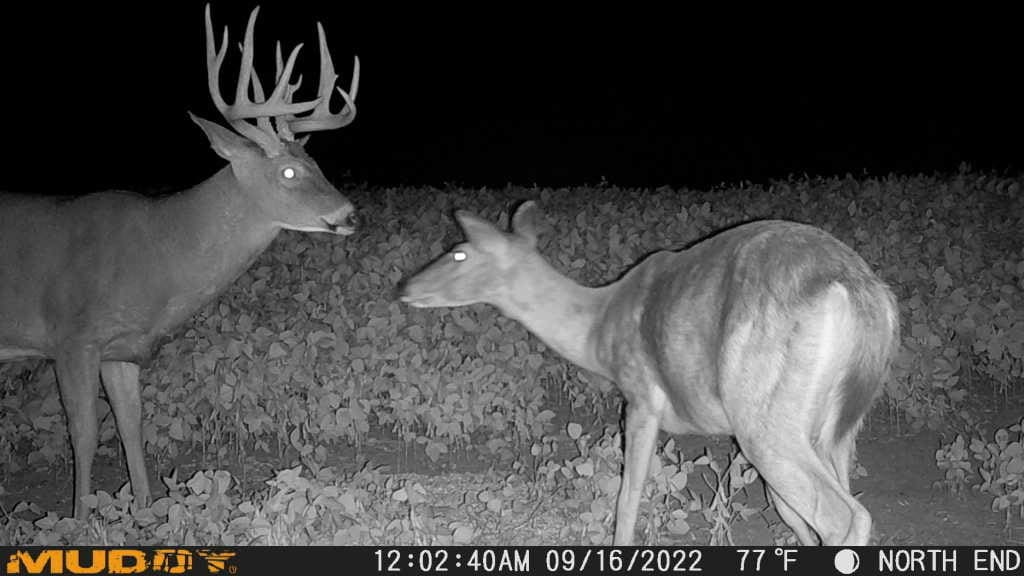 MITIGATOR CELLULAR TRAIL CAMERA Muddy Outdoors