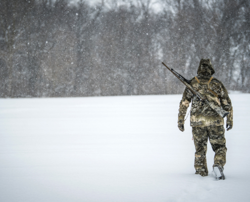 Eliminating Coyotes To Improve Your Deer Herd
