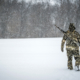 Eliminating Coyotes To Improve Your Deer Herd