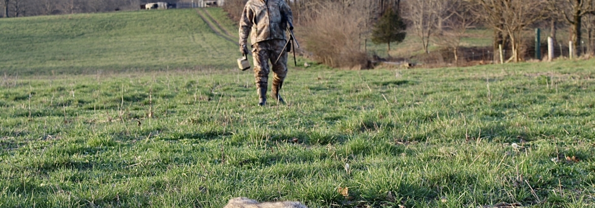 Improve Your Turkey Hunting Odds By Spring Coyote Hunting