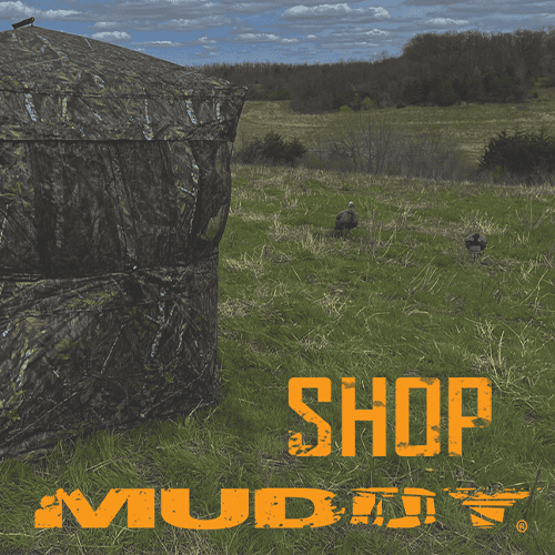Choosing The Best Ground Blind For You!