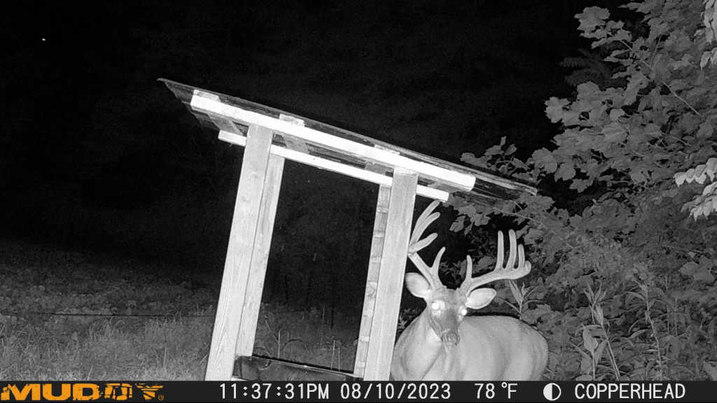 Trail Camera[mp:06][tp:078f][imei:869965065852695]