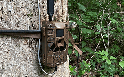 New Muddy Matrix Cellular Trail Camera