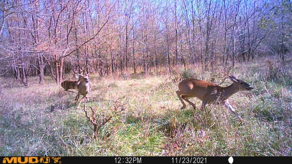 11.23.21 Scaled.jpg
