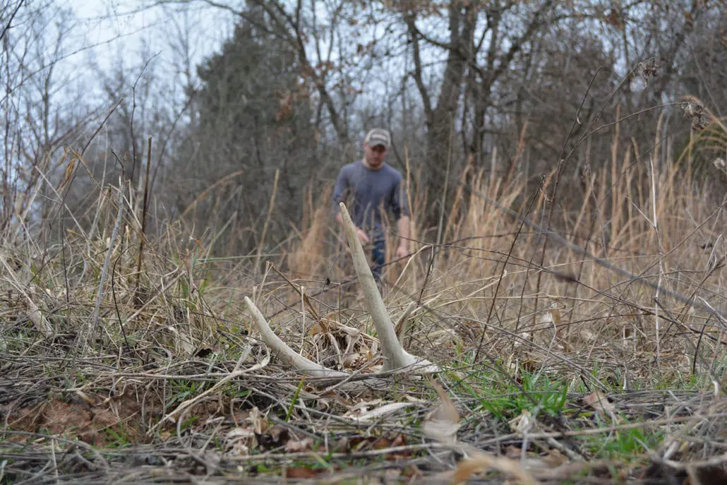 Using Trail Cameras To Figure Out When To Start Shed Hunting Body Img 1