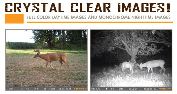 Muddy Trail Cameras The Why When Where And How Of Minerals For Deer Body Img 1