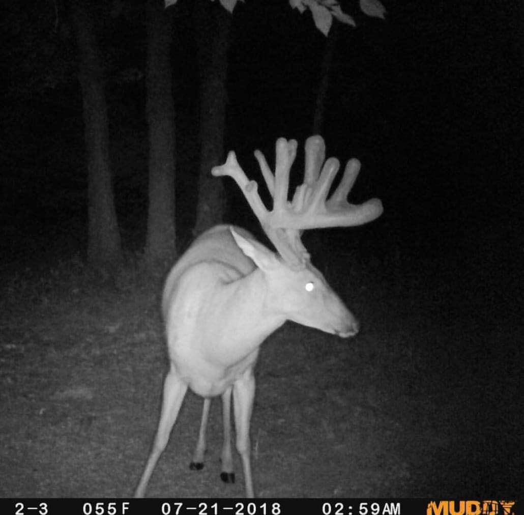Muddys Trail Camera Schedule Body Img 10