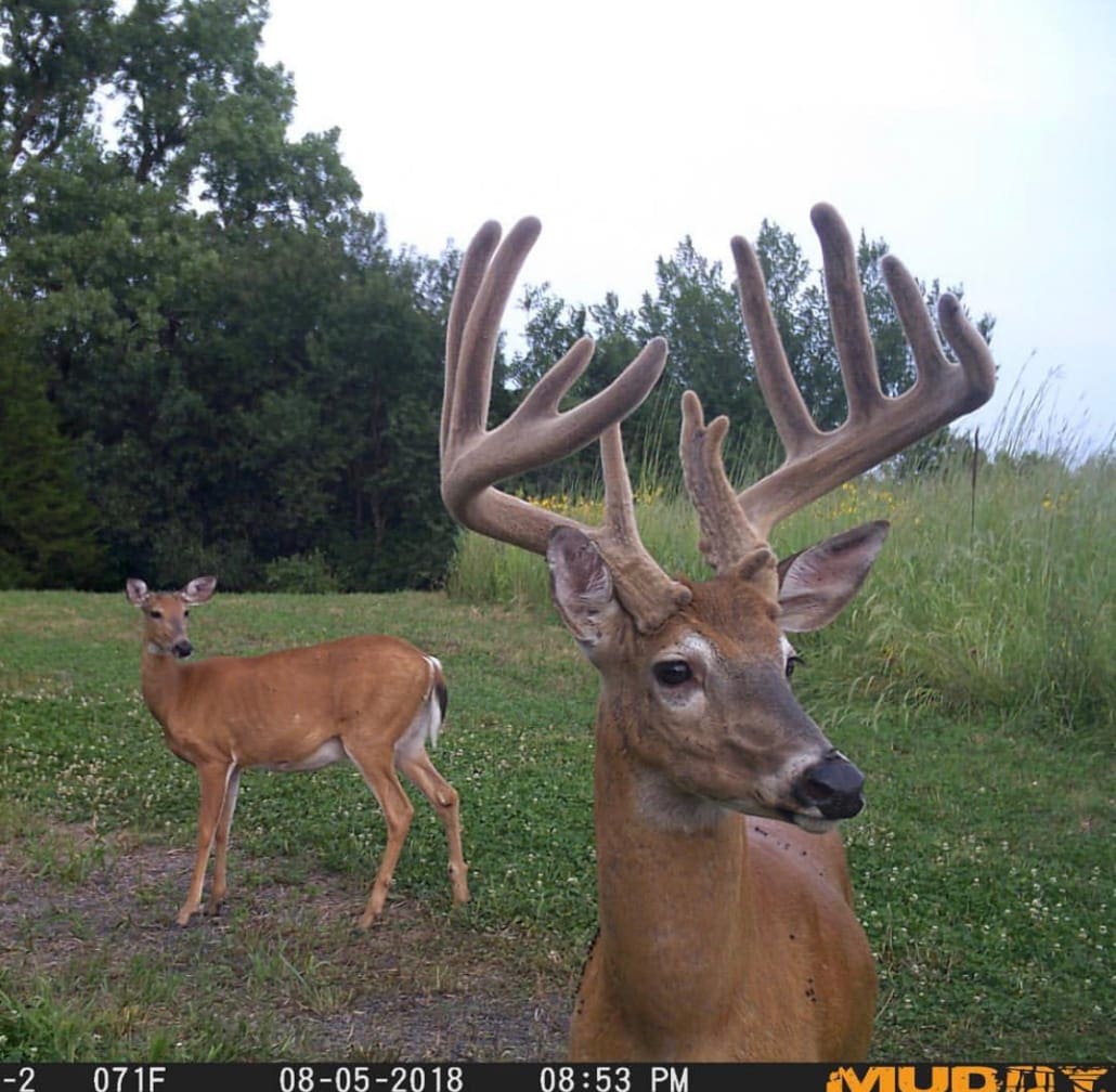 Muddy’s Trail Camera Schedule Setups, Tips, Settings, and More