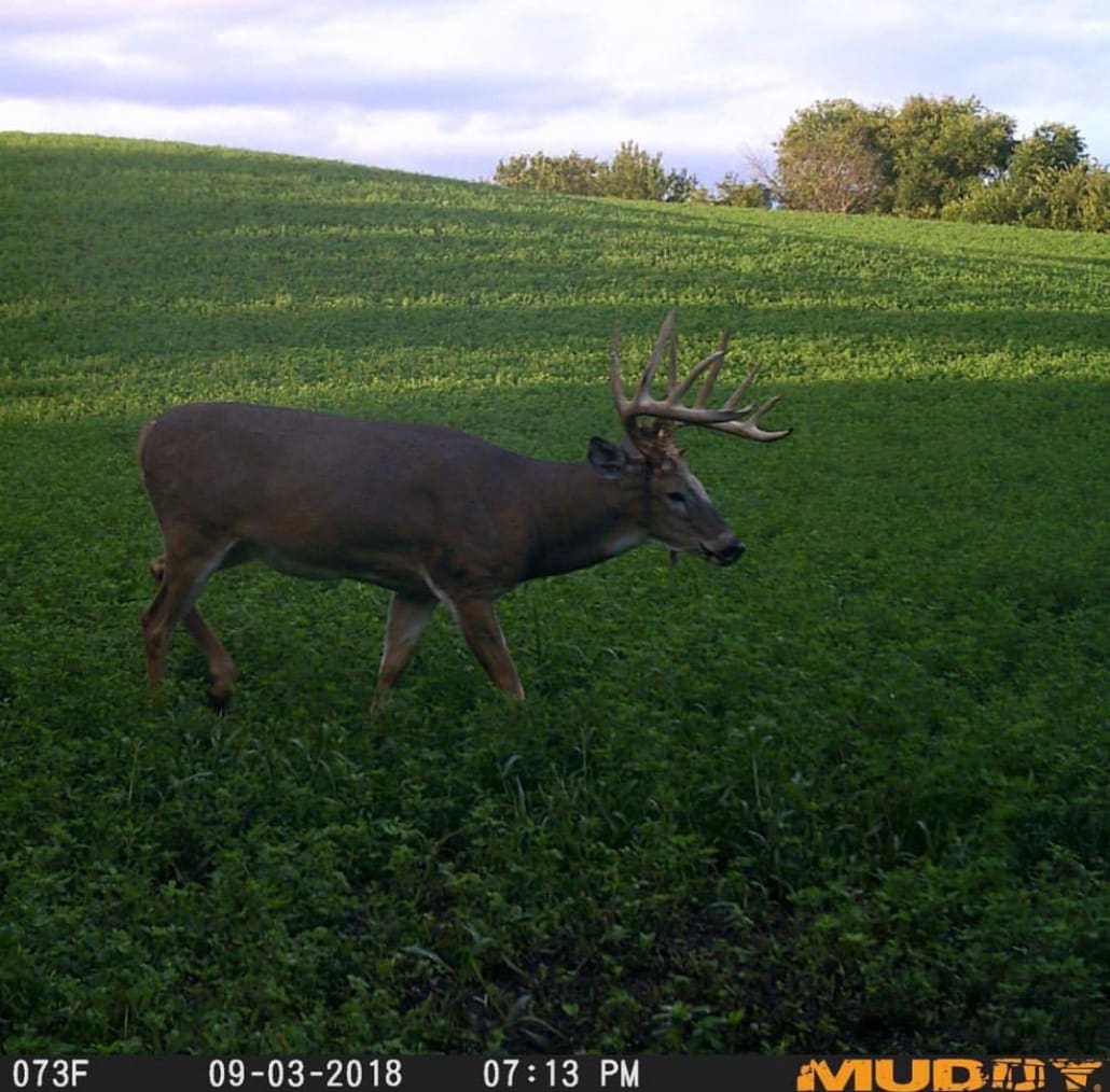 Muddy’s Trail Camera Schedule Setups, Tips, Settings, and More