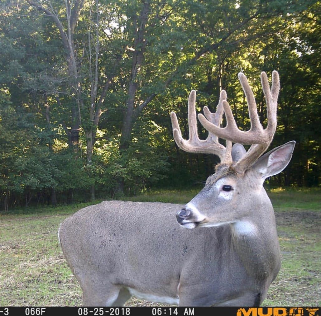 Muddys Trail Camera Schedule Body Img 5