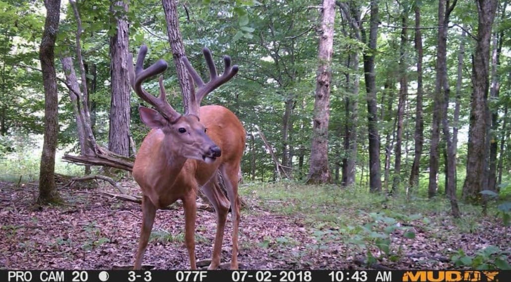 Muddys Trail Camera Schedule Body Img 6