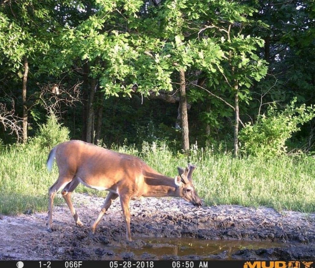 Muddys Trail Camera Schedule Body Img 7