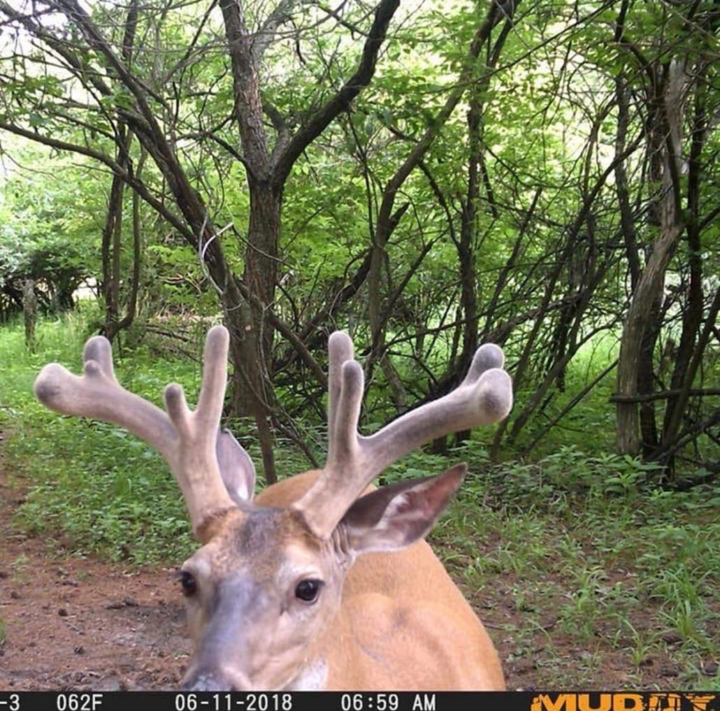 Muddys Trail Camera Schedule Body Img 8