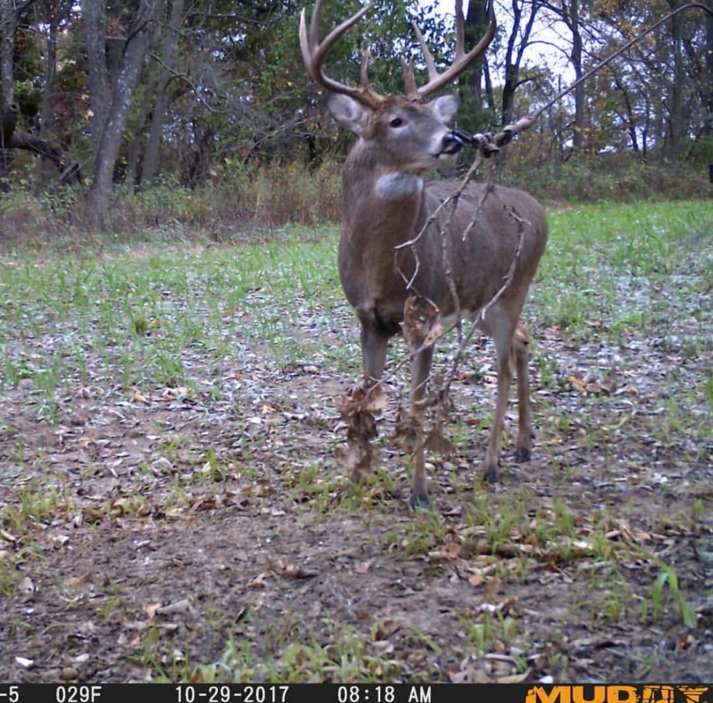 Muddys Trail Camera Schedule Body Img 9