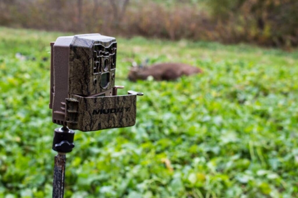 Tips for Tagging an Early October Buck Muddy Outdoors