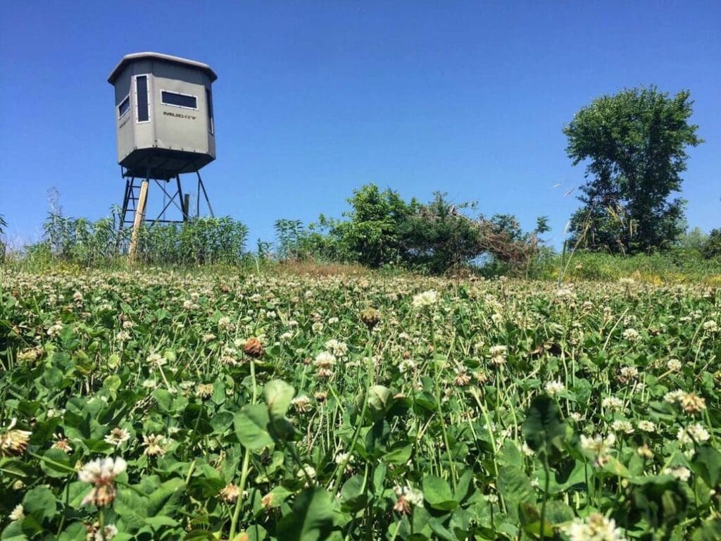 Planning Box Blind Setups For The Early Season Body Img 3
