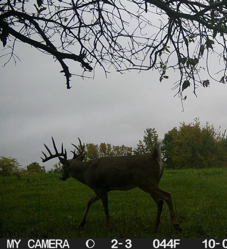 Shifting Tree Stand Locations During Deer Season Pic1 936x1030 1