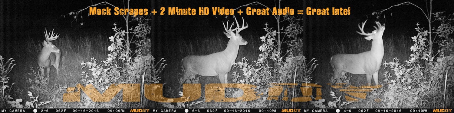 Taking Advantage Of Mock Scrapes With Trail Cameras Body Img 2