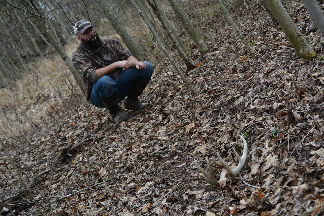 Top Six Best Places To Find Shed Antlers Body Img 3