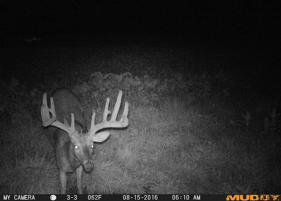 Trail Camera Strategies To Start This Summer Body Img 1