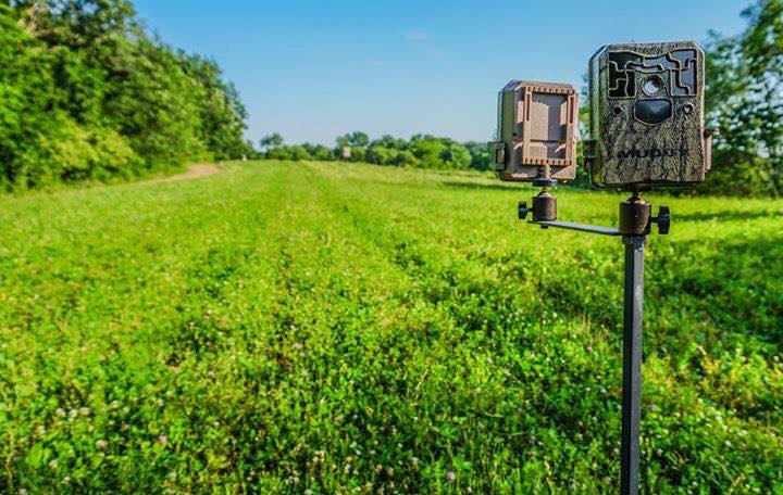 Trail Camera Strategies To Start This Summer Body Img 3