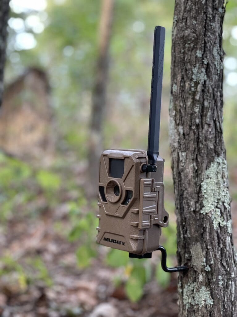 How To Pattern An Early Season Buck With A Cellular Camera