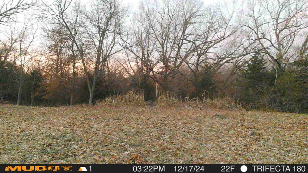 Trail Camera[mp:04][tp:024f][z:43][pt:360]