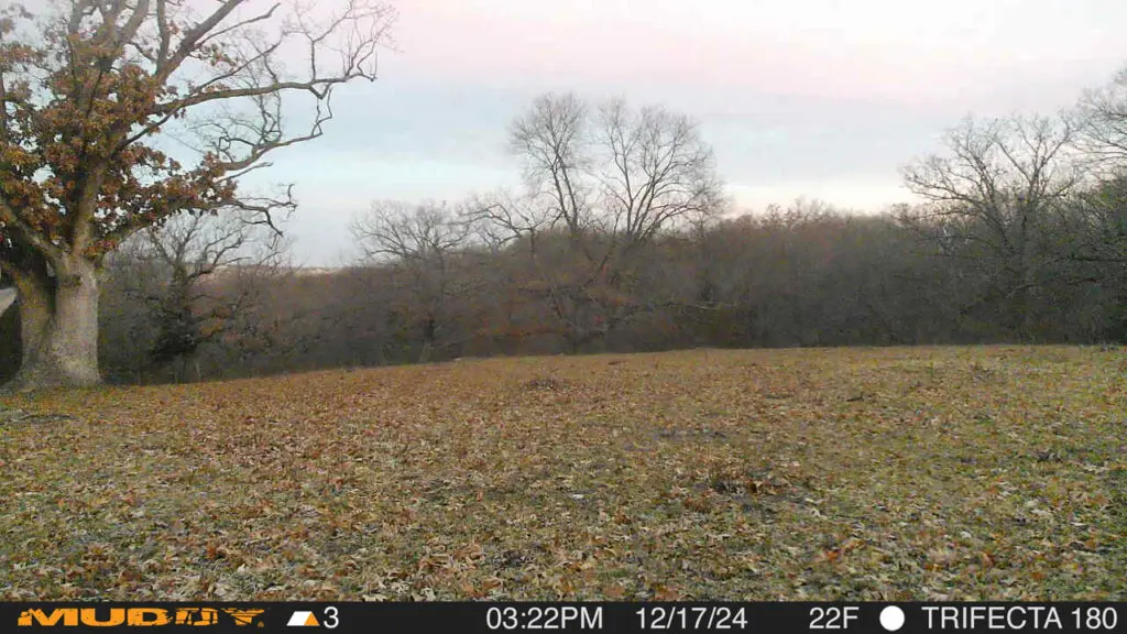 Trail Camera[mp:04][tp:024f][z:45][pt:360]
