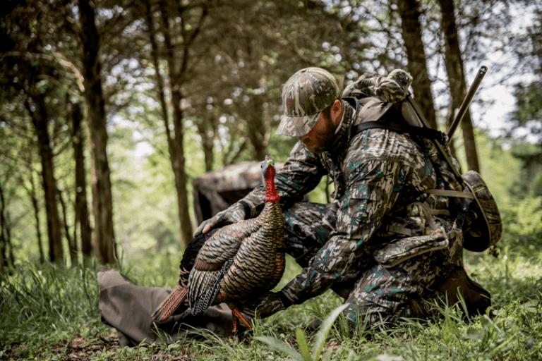 Hunting Spring Turkeys from a Blind: Setup and Success Tips | Muddy ...